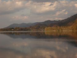 2014-04-12_Kochel-WFall_Kraeuter (313).JPG
